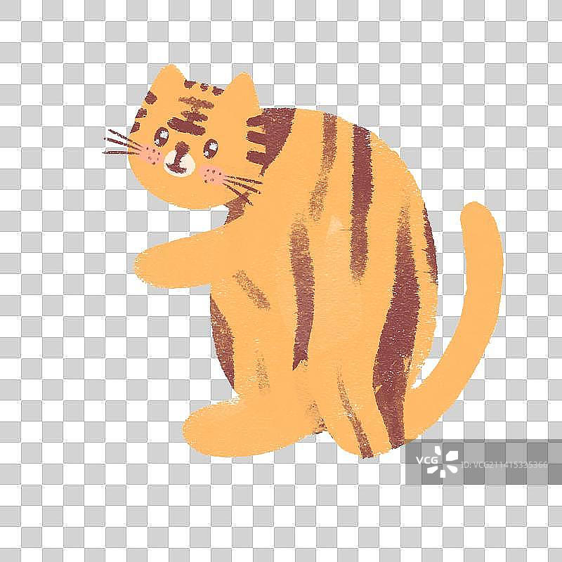 一只可爱的虎猫图片素材