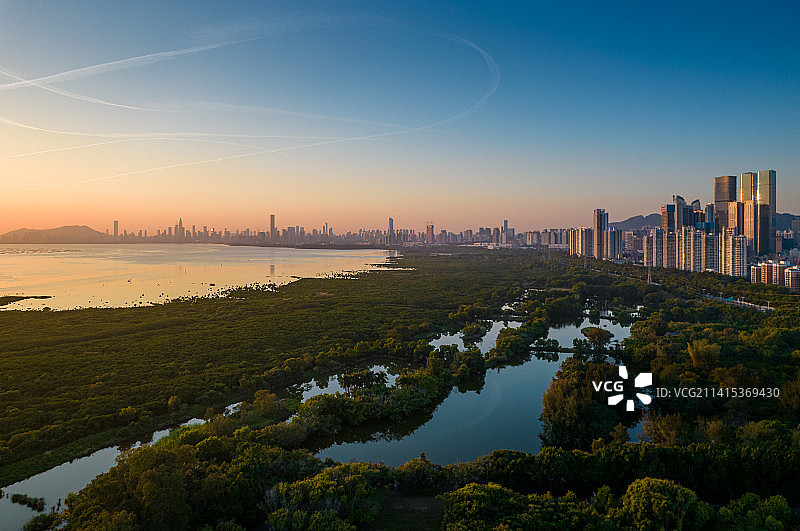深圳湾红树林湿地公园全景航拍图片素材