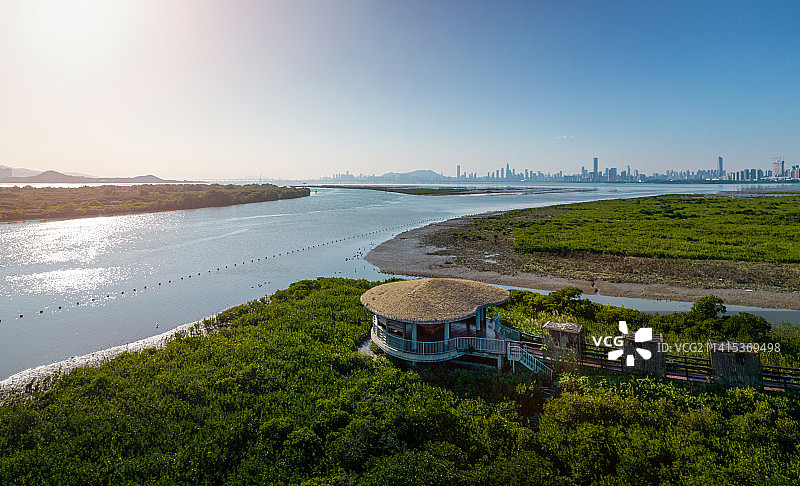 深圳河出海口红树林观鸟亭全景航拍图片素材