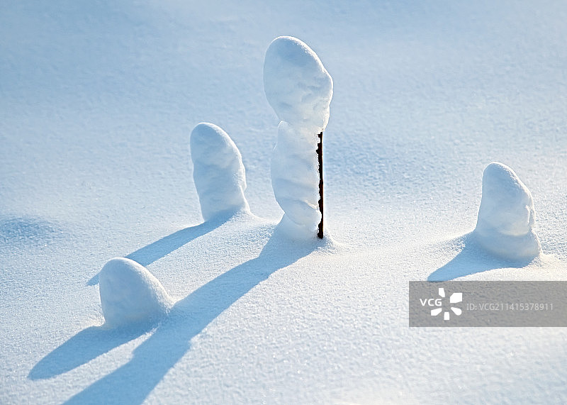 雪过留痕图片素材