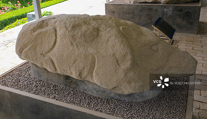 陕西省咸阳市茂陵(汉武帝陵寝) 霍去病墓石刻展: 野猪图片素材