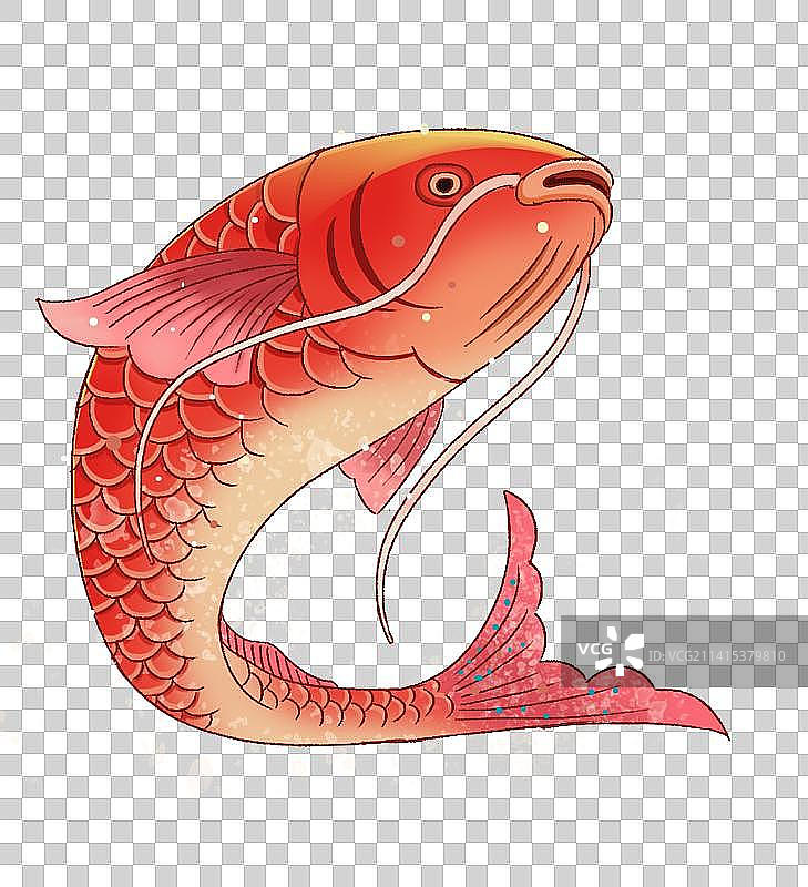 卡通水产品农副产品食物食材大鲤鱼元素插画图片素材