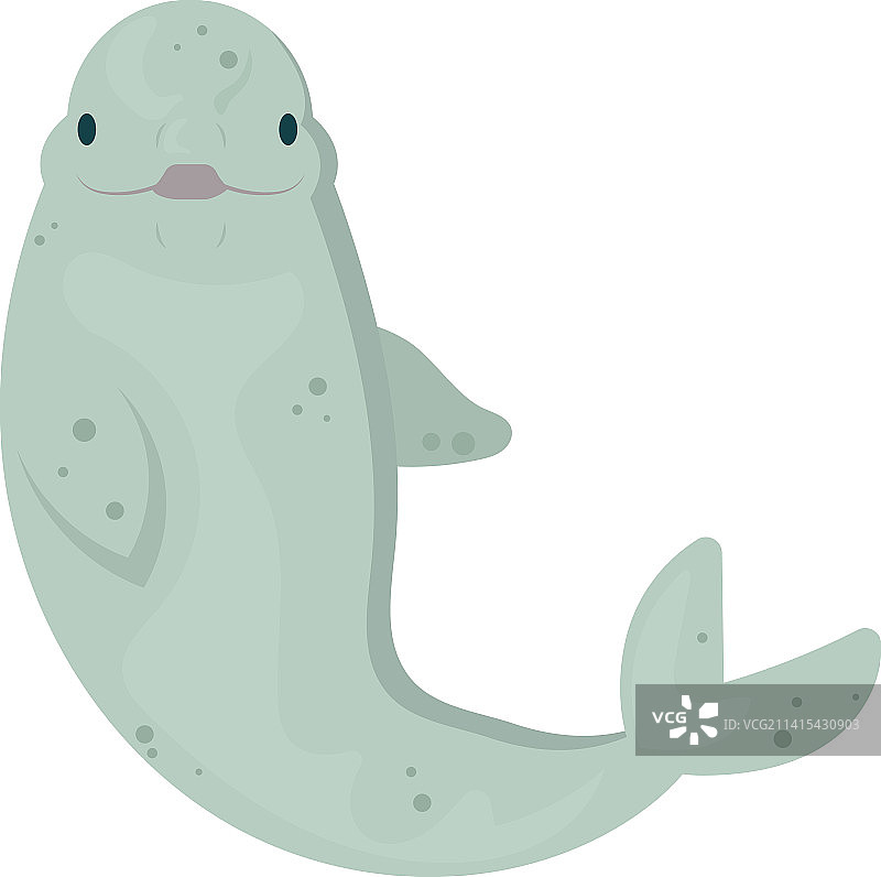 卡通白鲸设计图片素材