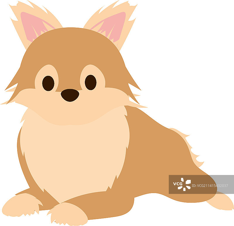 可爱博美犬图片素材