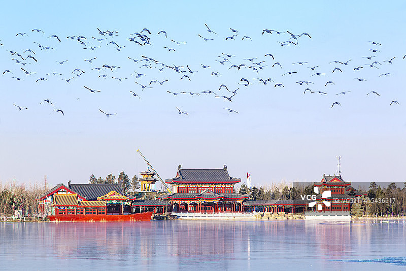 河北省第六届园艺博览会“沧州园博园”图片素材