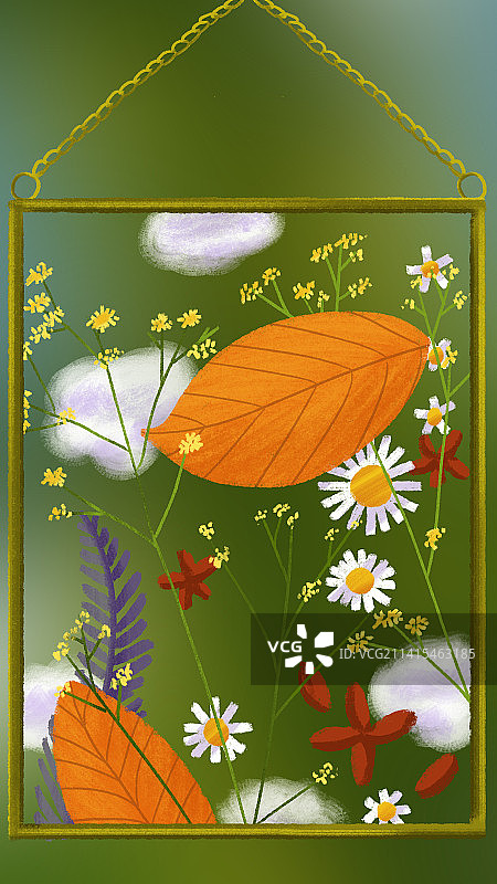 植物标本图片素材