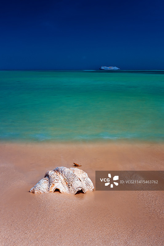 沙滩上的砗磲--南海西沙银屿海滩风光图片素材