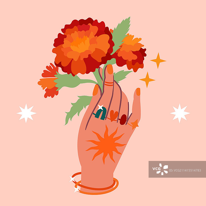 万寿菊图片素材