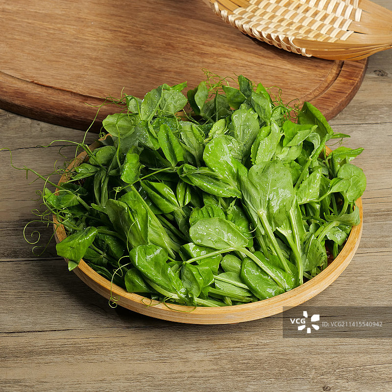 瓜苗青菜叶子图片素材