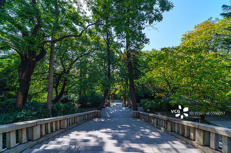 广州越秀公园登山林荫栈道石梯图片素材
