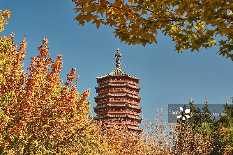 北京园博园永定塔秋色图片素材