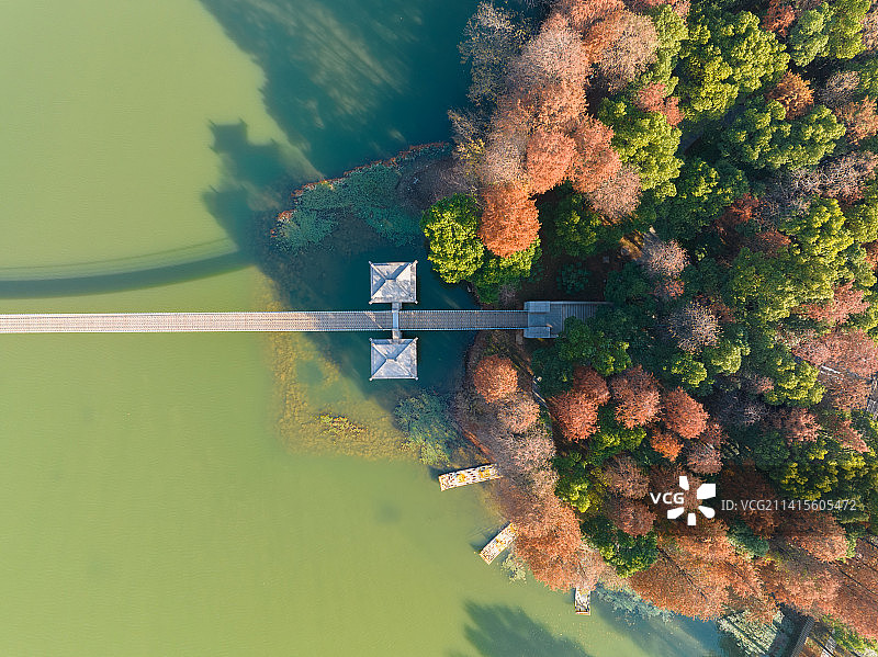 武汉东湖落雁岛风景区秋季风光图片素材