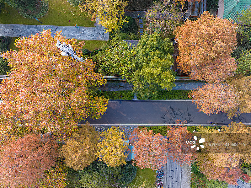 武汉东湖湿地公园风景区秋季风光图片素材