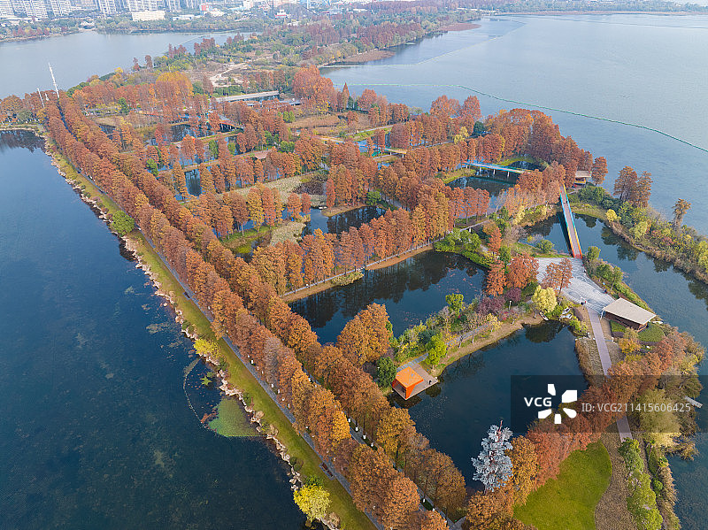 武汉东湖湿地公园风景区秋季风光图片素材
