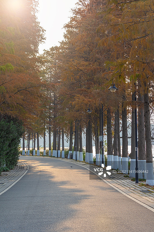 武汉东湖湿地公园风景区秋季风光图片素材