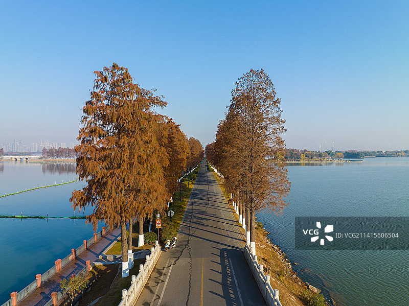 武汉东湖湿地公园风景区秋季风光图片素材