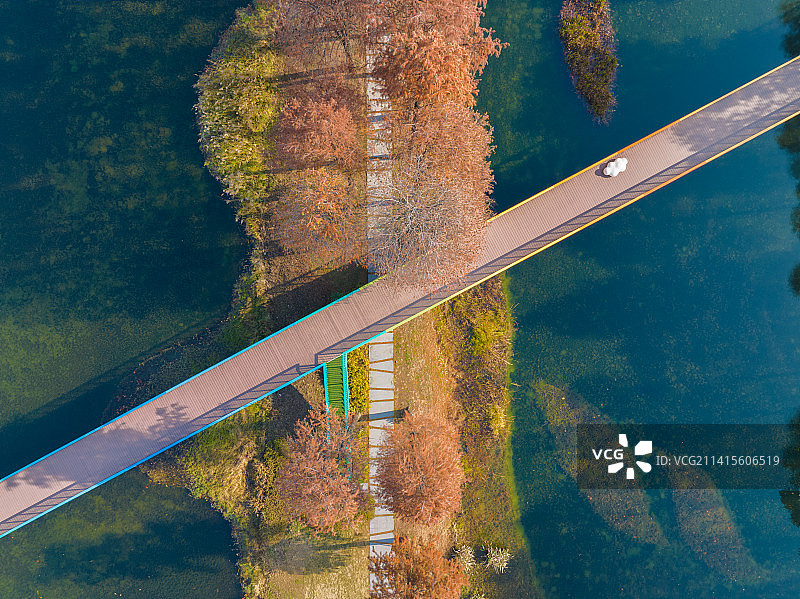 武汉东湖湿地公园风景区秋季风光图片素材
