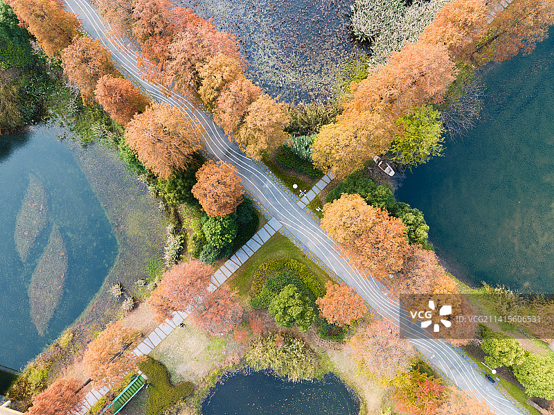 武汉东湖湿地公园风景区秋季风光图片素材