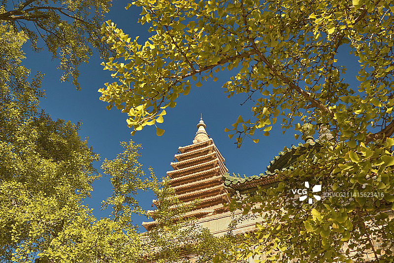 秋天的北京五塔寺图片素材