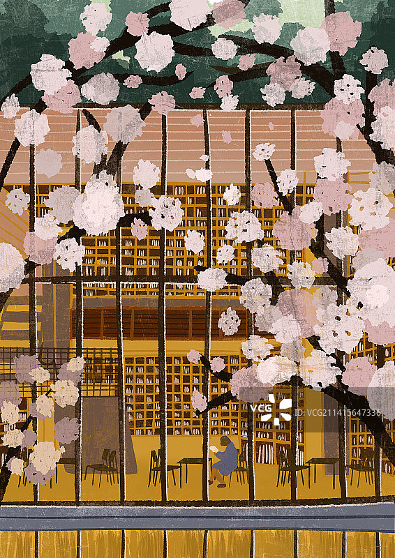 良渚樱花图片素材