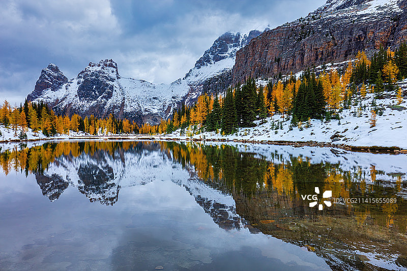 加拿大落基山脉欧哈拉湖LAKE OHARA 落叶松秋色雪景图片素材