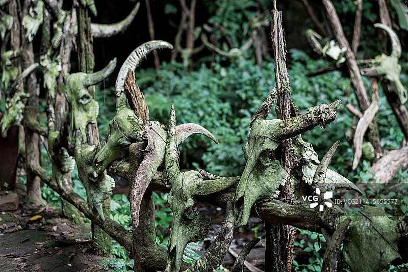 云南省普洱市西盟县勐梭龙潭龙摩爷圣地牛头图腾图片素材