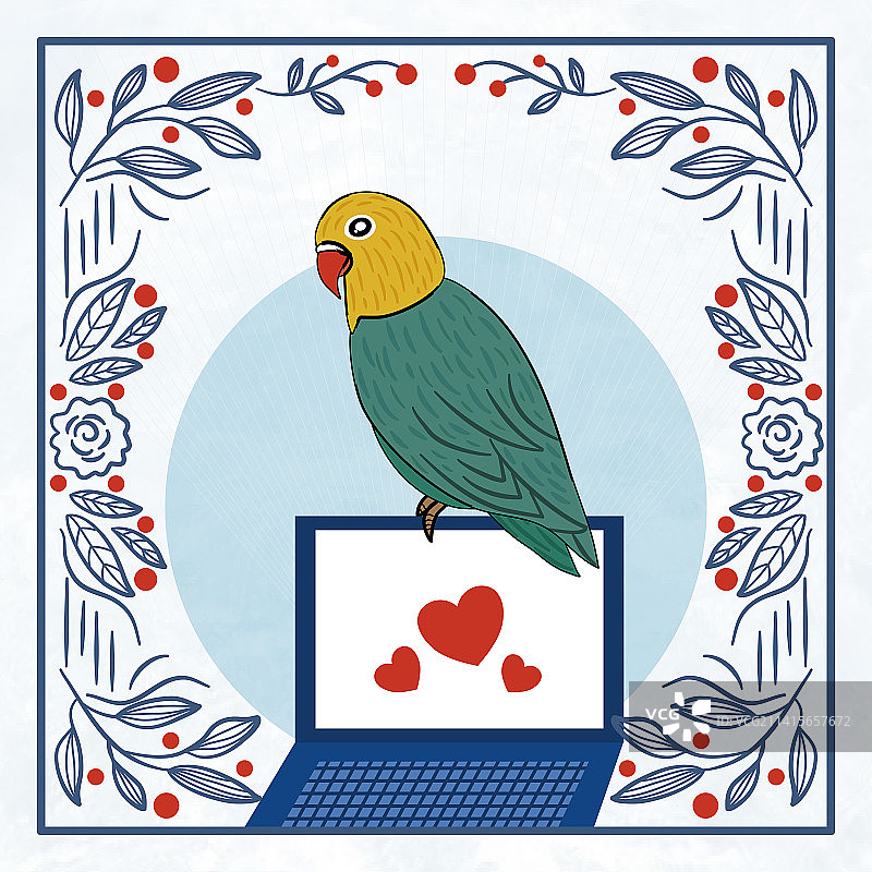 牡丹鹦鹉图片素材