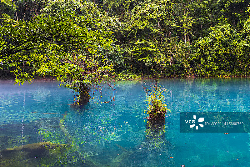 贵州省黔南州荔波县小七孔景区卧龙潭夏季户外风光图片素材