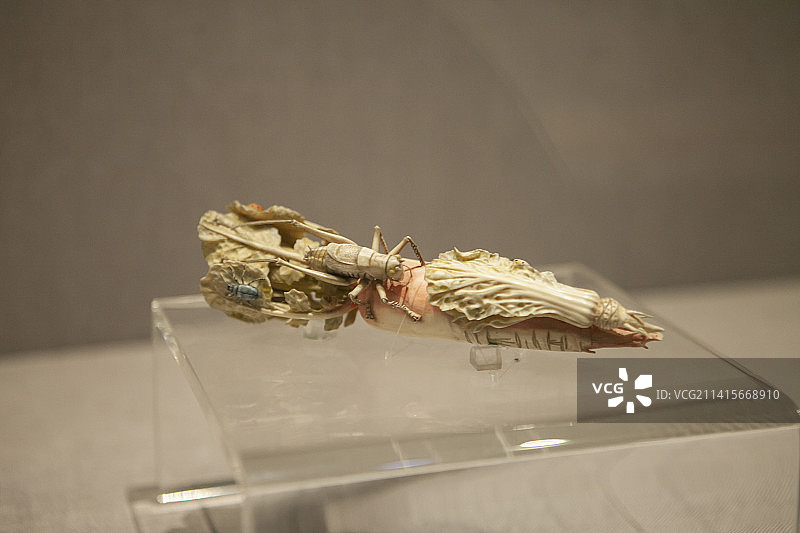 2022年12月，四川省博物馆，象牙制品，象牙艺术品，象牙雕红楼梦故事，象牙雕萝卜，象牙雕白菜图片素材