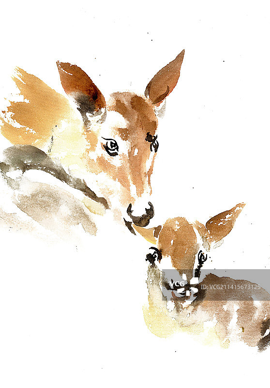 亲昵的小鹿图片素材