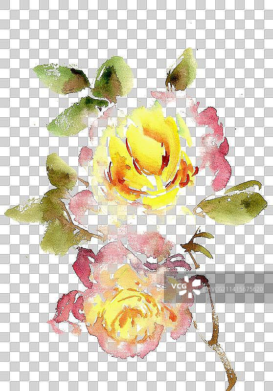 黄色的月季花图片素材