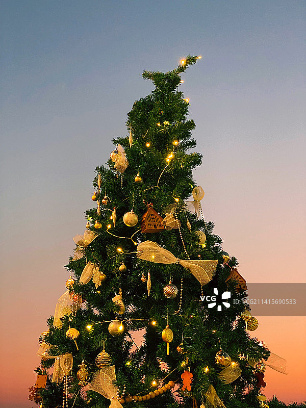 圣诞树图片素材