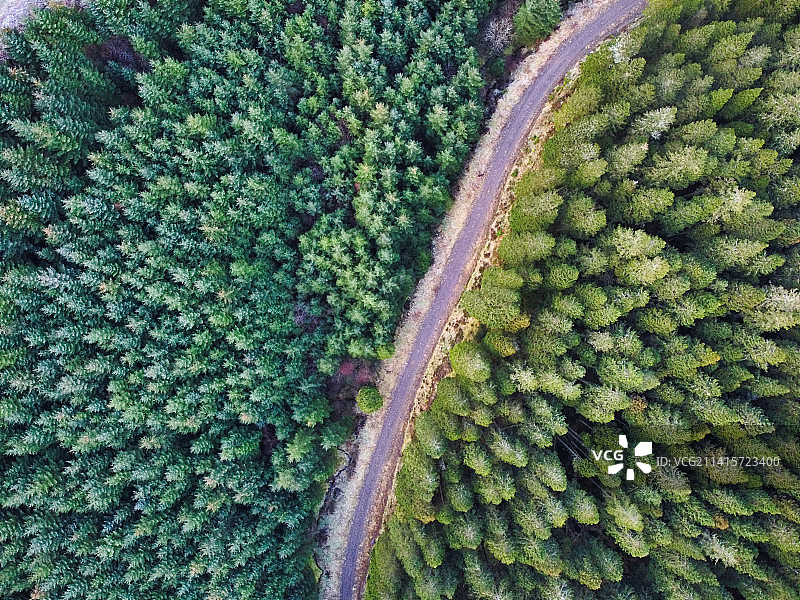 森林公路航拍图片素材