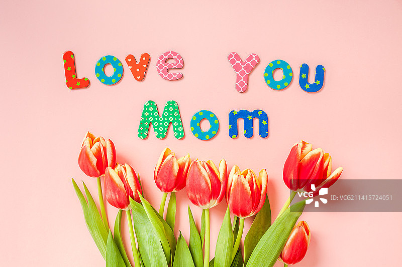 带红色郁金香的母亲节贺卡（克罗地亚普拉）图片素材