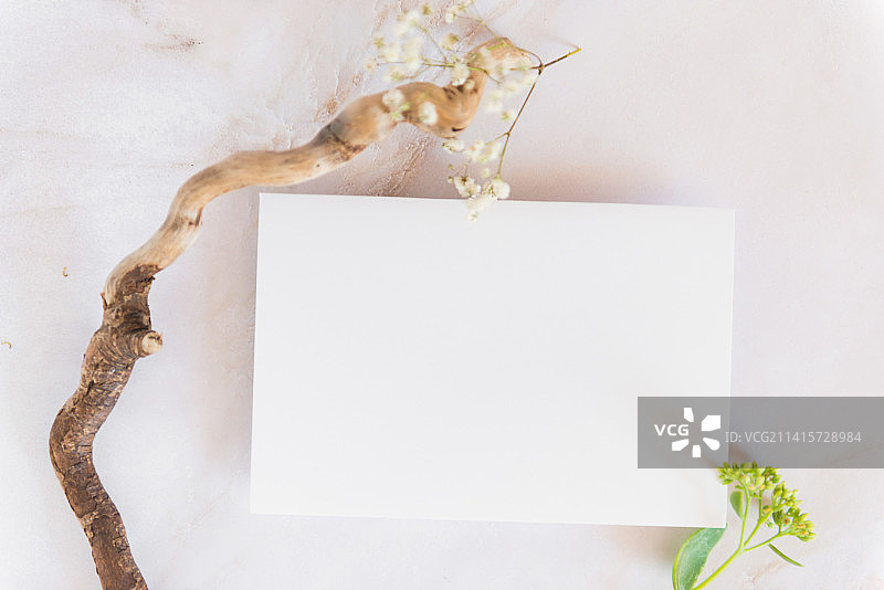 木质鲜花白色背景上的空白卡片图片素材