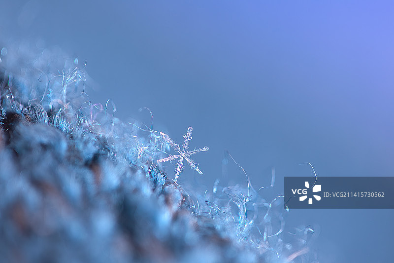 蓝天下雪花的特写，美国明尼苏达州圣安东尼图片素材