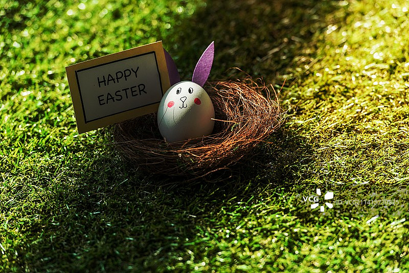 草地上复活节彩蛋俯视图图片素材