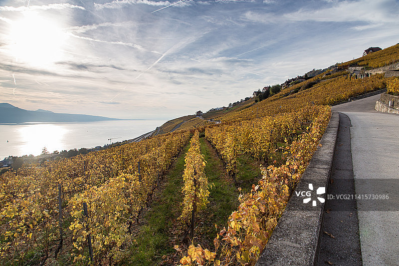 瑞士沃州沙尔多内的秋季海景图片素材