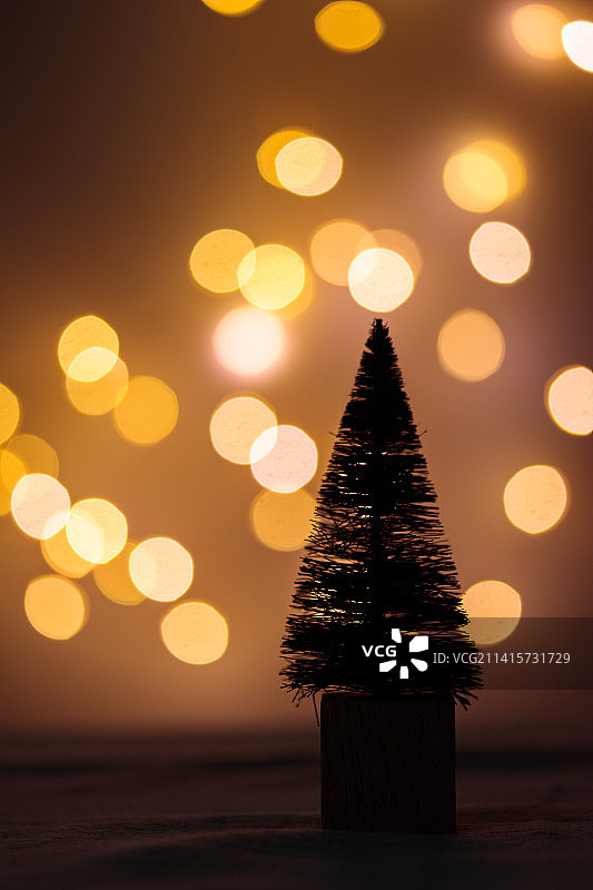 桌子上带有散景灯的可爱圣诞迷你冷杉树图片素材