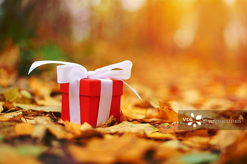 秋季田野上的礼品盒特写图片素材