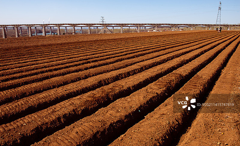 春耕#12月打卡挑战#图片素材