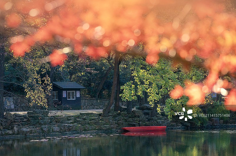万工池小景图片素材