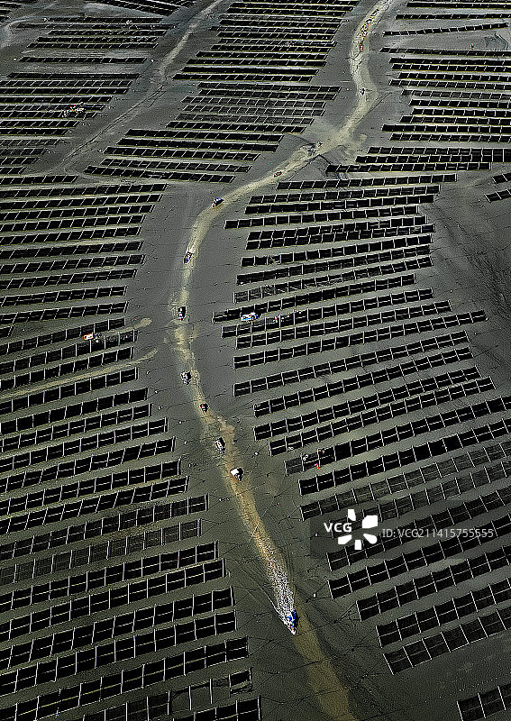 紫菜养殖第一村图片素材