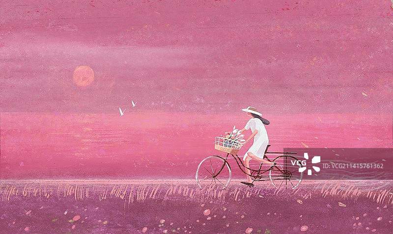 骑自行车的女孩非凡洋红色插画图片素材