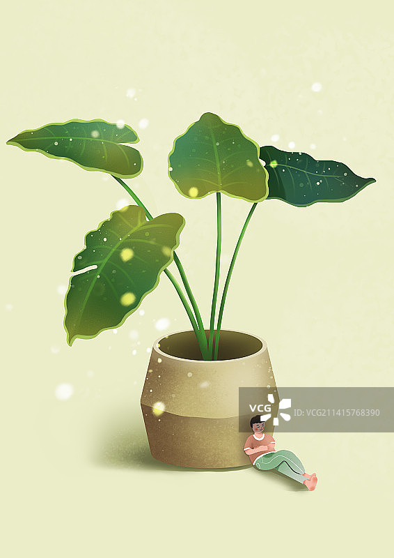 植物小场景图片素材