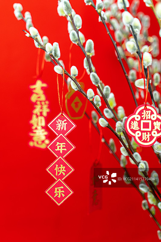 银柳旁悬挂着新年祈福的挂饰图片素材