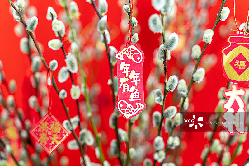 银柳旁悬挂着新年祈福的挂饰图片素材