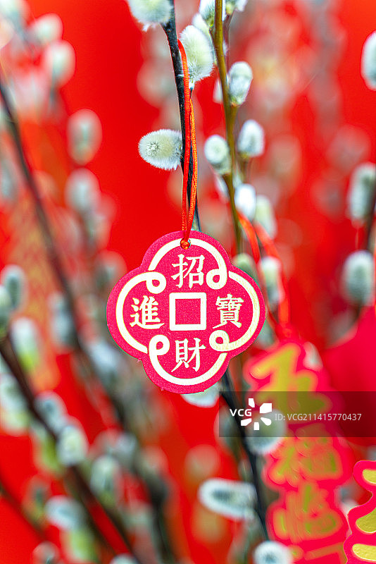 银柳旁悬挂着新年祈福的挂饰图片素材