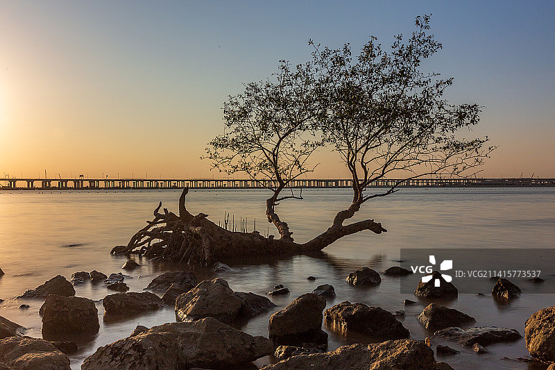 广东省深圳市西湾红树林海景日落飞机风光图图片素材