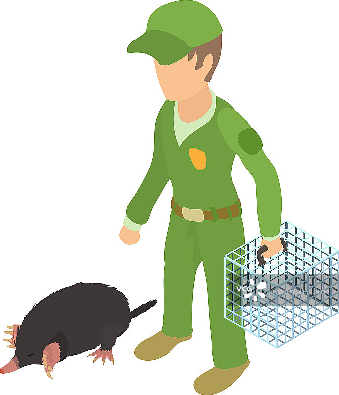 害虫防治图标2.5D卫生图片素材